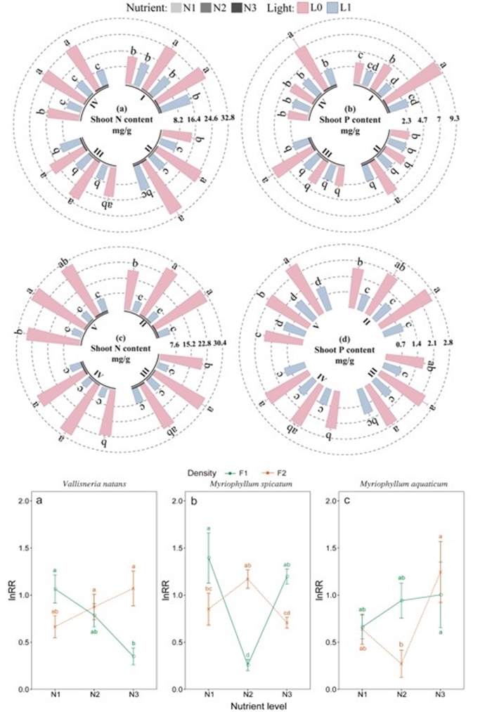Study Uncovers How Key Factors Drive Competition Among Aquatic Plants in Eutrophic Waters