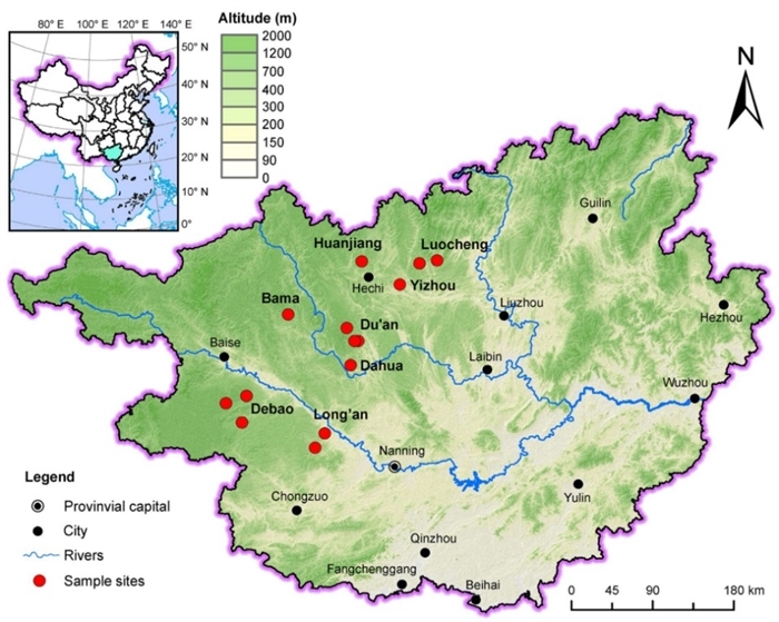 Microbial Necromass Dominates Organic Carbon Accumulation in Calcareous Soil Following Afforestation, New Research