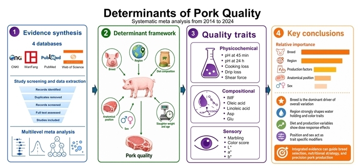 Researcher Identifies Key Determinants of Pork Quality