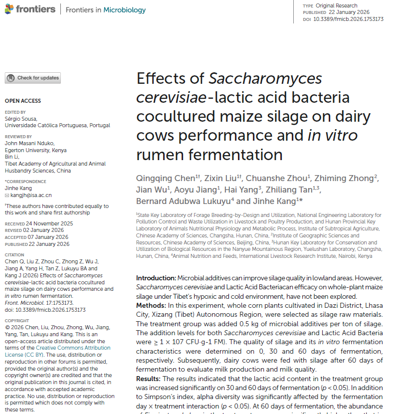 Microbial Boost: Enhancing Silage Quality and Milk Production in Xizang