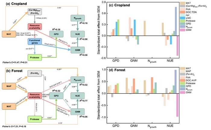Land Use Practices: Predominantly Factors Impact Soil Nitrogen Transformation