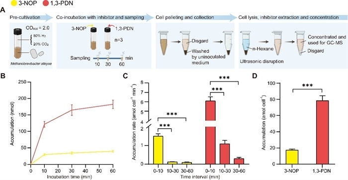 Development and mechanistic insights into a hydrophobic rumen-targeted methane inhibitor, 1,3-PDN